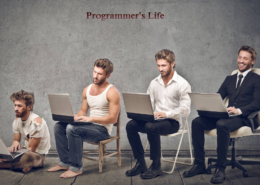 What is a programmer’s life like?